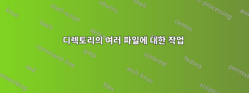 디렉토리의 여러 파일에 대한 작업