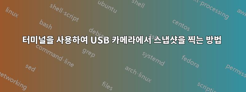 터미널을 사용하여 USB 카메라에서 스냅샷을 찍는 방법