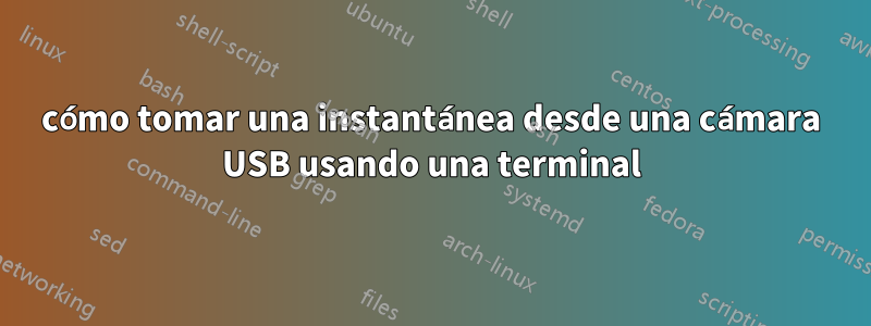 cómo tomar una instantánea desde una cámara USB usando una terminal