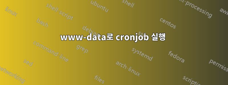 www-data로 cronjob 실행