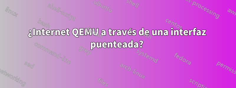 ¿Internet QEMU a través de una interfaz puenteada?