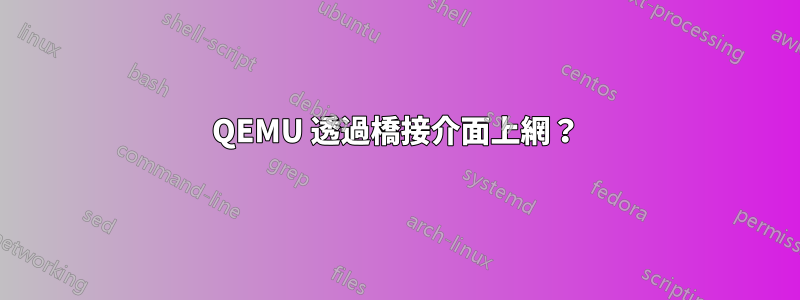 QEMU 透過橋接介面上網？