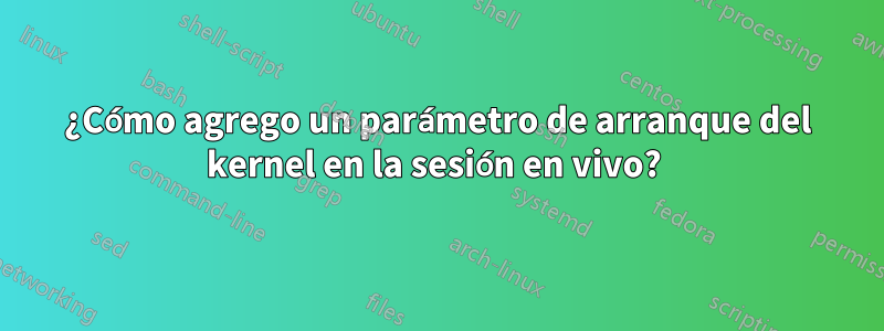 ¿Cómo agrego un parámetro de arranque del kernel en la sesión en vivo? 