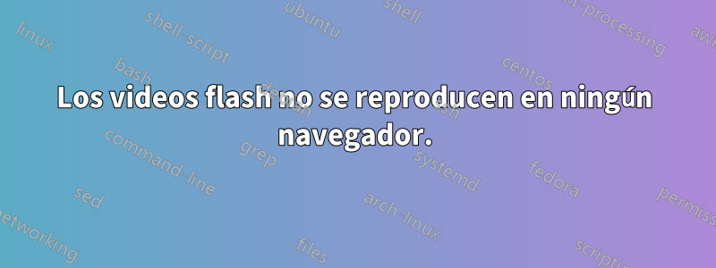 Los videos flash no se reproducen en ningún navegador.