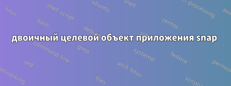 двоичный целевой объект приложения snap