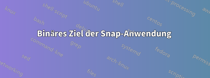 Binäres Ziel der Snap-Anwendung