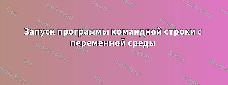 Запуск программы командной строки с переменной среды