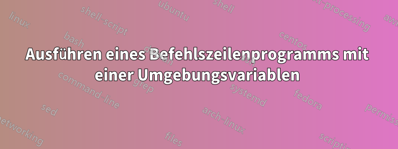 Ausführen eines Befehlszeilenprogramms mit einer Umgebungsvariablen