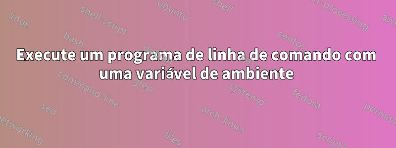 Execute um programa de linha de comando com uma variável de ambiente