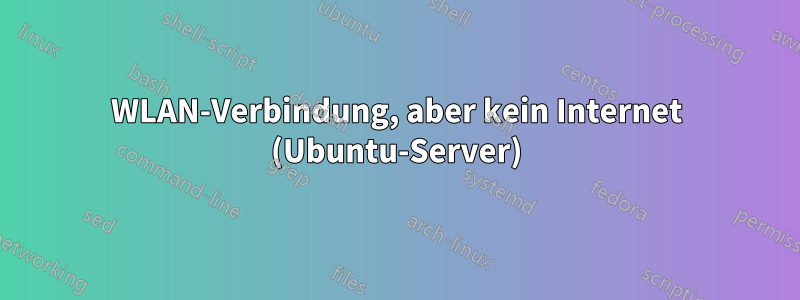 WLAN-Verbindung, aber kein Internet (Ubuntu-Server)