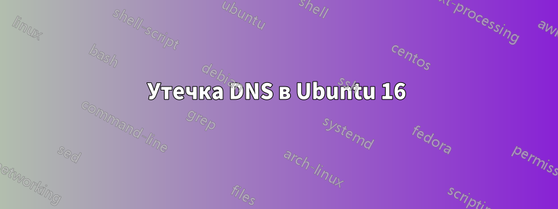 Утечка DNS в Ubuntu 16