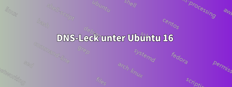 DNS-Leck unter Ubuntu 16