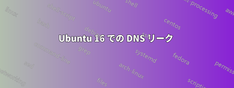 Ubuntu 16 での DNS リーク