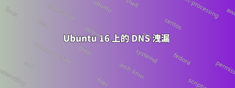 Ubuntu 16 上的 DNS 洩漏