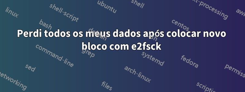 Perdi todos os meus dados após colocar novo bloco com e2fsck