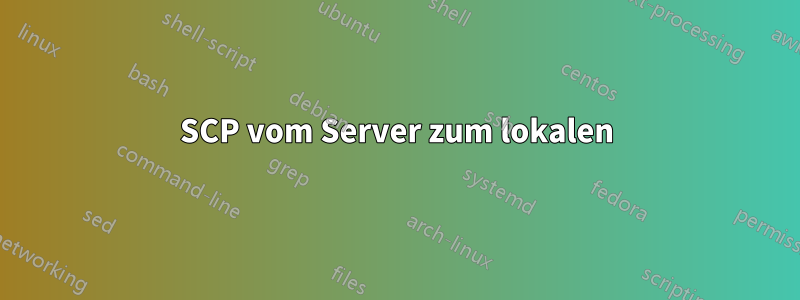 SCP vom Server zum lokalen