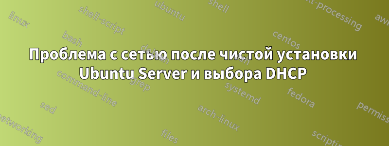 Проблема с сетью после чистой установки Ubuntu Server и выбора DHCP