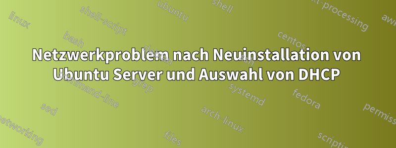 Netzwerkproblem nach Neuinstallation von Ubuntu Server und Auswahl von DHCP