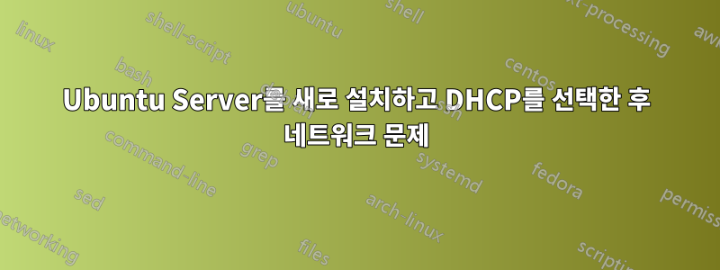 Ubuntu Server를 새로 설치하고 DHCP를 선택한 후 네트워크 문제