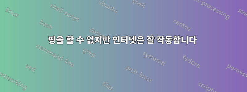 핑을 할 수 없지만 인터넷은 잘 작동합니다