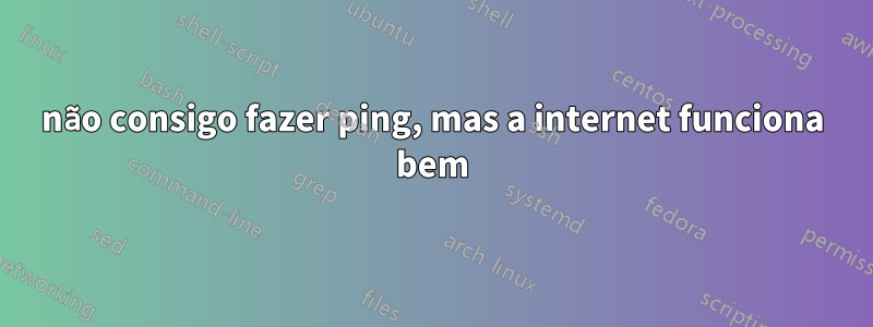 não consigo fazer ping, mas a internet funciona bem