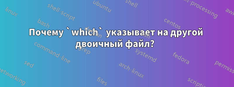 Почему `which` указывает на другой двоичный файл? 