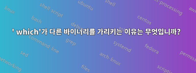 ' which'가 다른 바이너리를 가리키는 이유는 무엇입니까? 