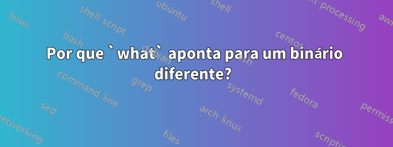 Por que `what` aponta para um binário diferente? 