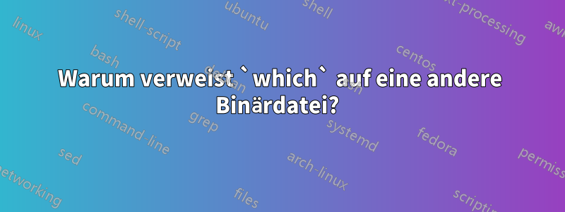 Warum verweist `which` auf eine andere Binärdatei? 