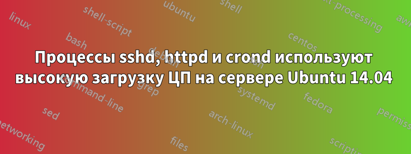 Процессы sshd, httpd и crond используют высокую загрузку ЦП на сервере Ubuntu 14.04