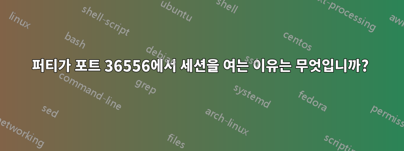 퍼티가 포트 36556에서 세션을 여는 이유는 무엇입니까?