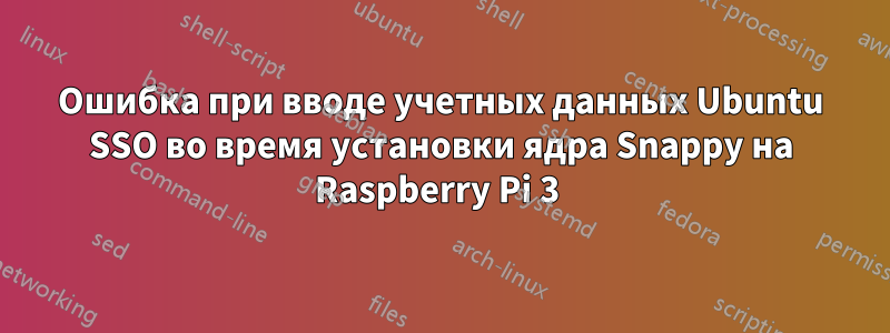 Ошибка при вводе учетных данных Ubuntu SSO во время установки ядра Snappy на Raspberry Pi 3 