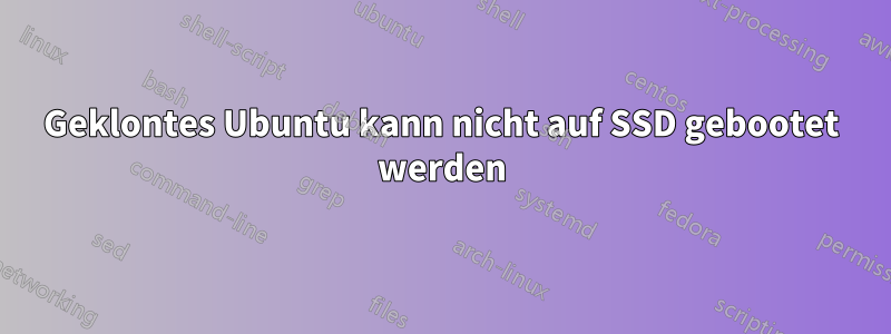 Geklontes Ubuntu kann nicht auf SSD gebootet werden