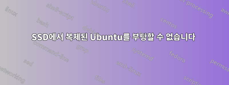 SSD에서 복제된 Ubuntu를 부팅할 수 없습니다