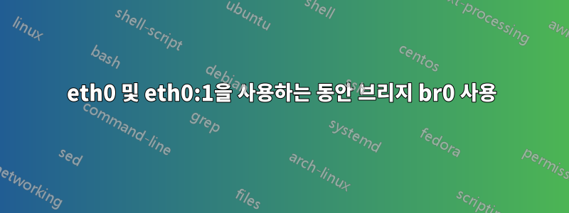 eth0 및 eth0:1을 사용하는 동안 브리지 br0 사용