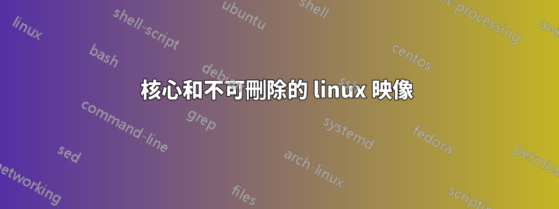 核心和不可刪除的 linux 映像