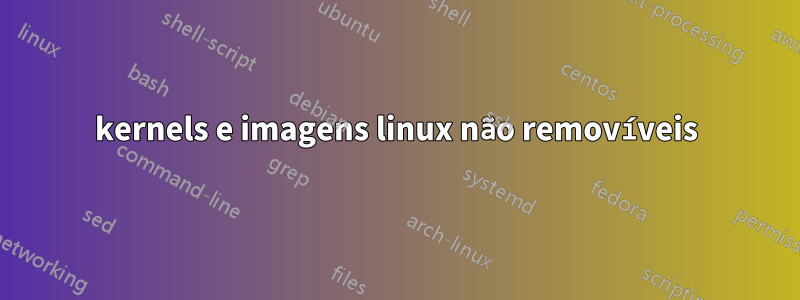 kernels e imagens linux não removíveis