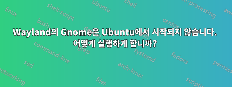 Wayland의 Gnome은 Ubuntu에서 시작되지 않습니다. 어떻게 실행하게 합니까?