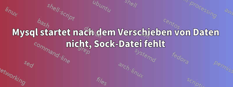 Mysql startet nach dem Verschieben von Daten nicht, Sock-Datei fehlt