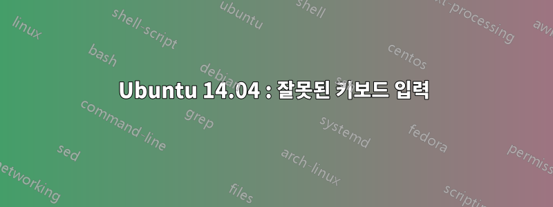 Ubuntu 14.04 : 잘못된 키보드 입력