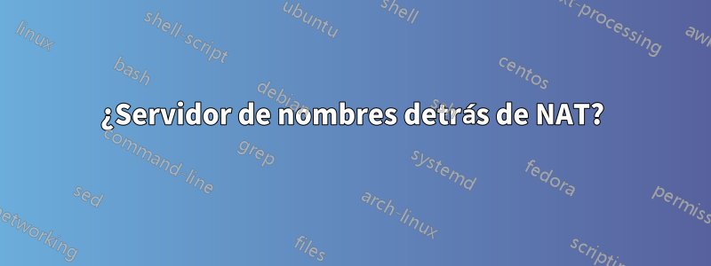 ¿Servidor de nombres detrás de NAT?