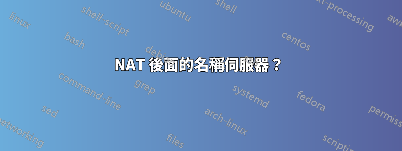 NAT 後面的名稱伺服器？