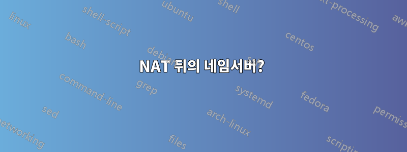 NAT 뒤의 네임서버?