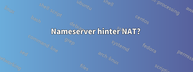 Nameserver hinter NAT?