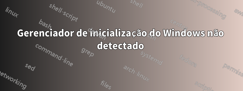 Gerenciador de inicialização do Windows não detectado