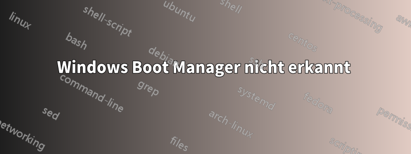 Windows Boot Manager nicht erkannt