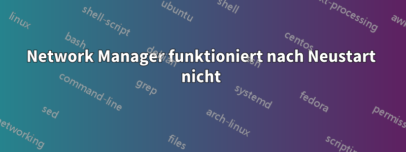 Network Manager funktioniert nach Neustart nicht