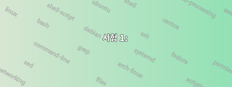 시험 1: