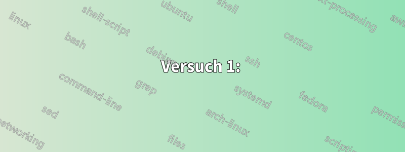 Versuch 1: