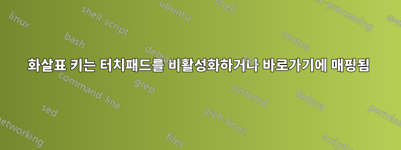 화살표 키는 터치패드를 비활성화하거나 바로가기에 매핑됨